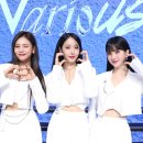 비비플래닛