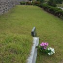 천지인장묘 이미지