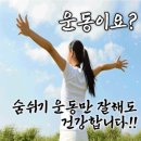 숨쉬기 운동 방법 이미지