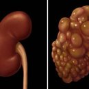 한빛동물병원 이미지