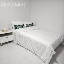 라비스테이 이미지