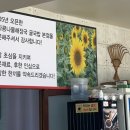 와따콩나물해장국 이미지