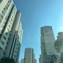 용당부식