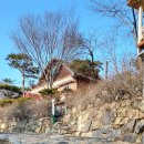 바람꽃펜션 | 깔끔하고 아늑한 산청펜션 바람꽃 펜션 💗