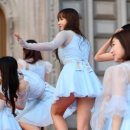 성소 카카오 검색결과