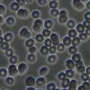 천인지한의원 이미지