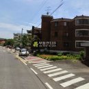 통일로726번길 Daum카페