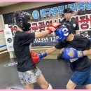 타이거 합기도 도장 | 대천동합기도 타이거도장, 전통과 전문성이 만나다!