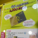 컬리수&모이몰른