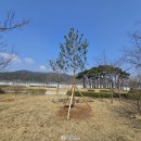 홍예로 이미지