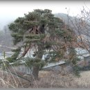 천천면광산마을 이미지