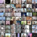마키아벨리<군주론> | 마키아벨리 리더십 강사 양성 과정 수강 후기