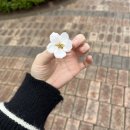 함흥냉면중촌 | 우리 집 냥이 흑색종 진단 결과 및 후기 ٩(｡•ㅅ•｡)و