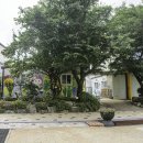 의신중학교 이미지