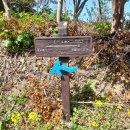 봉글레산 이미지