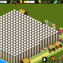 정배농장 이미지