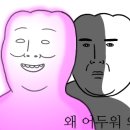 셀더바이 이미지
