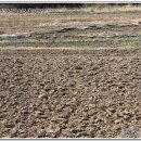 양지-2908 이미지