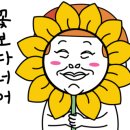 세종노래연습장 이미지