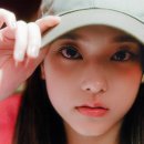 고양이카페 아이캣유 이미지