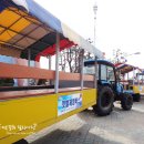 엘림펜션민박 이미지