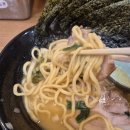 로23(Ro23) | 최애 일본 라멘 체인...마치다 쇼텐[시즈오카+도쿄⑨]