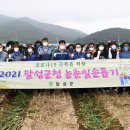 달성군청 이미지