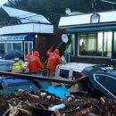 완도18호 이미지