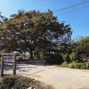 지리산둘레길 1코스 | 지옥이었던 지리산 17코스 등산 후기.... 지리산둘레길17코스