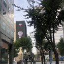 방배김밥이만든라이스쉐프서울