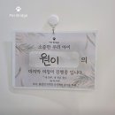 펫브릿지 | 서울 반려동물 장례식장 펫브릿지 실제 후기 방문자 리뷰 보호자님 후기