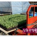 아주1차 이미지