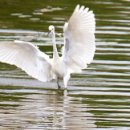 답동보건진료소 이미지