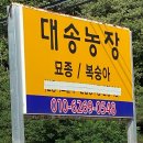 대송농장 이미지