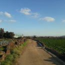 신도리-8 이미지