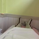 동래 피부관리_ 유니베라 부산충렬대리점
