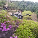 평창읍사무소 이미지