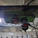 부서축사 이미지