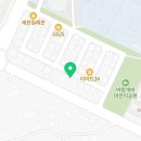 고양이가정분양 자체브리딩 니팅캣 이미지