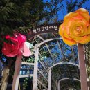 형산강 장미원 이미지