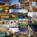 멍멍이가 있는 집 | [파주] 애견동반 감성 《아웃팅카페》, 투명돔 3구역 이용방법 내돈내산 후기