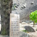 돌쉼터 네이버블로그