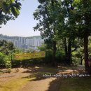 한얼어린이공원 이미지