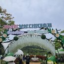 보성녹차