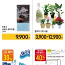 깨끗한세탁나라 이미지