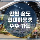 현대수족관 이미지