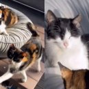 테니스장 이미지