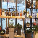 약이 되는 밥상 이야기 이미지