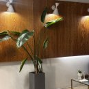 김하연피아노클래스학원 | [똥글이네]서울/양천구/신정동/성인 취미 피아노 도전 ‘감성피아노음악학원’ 원데이클래스 후기