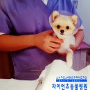 연산동물병원 이미지